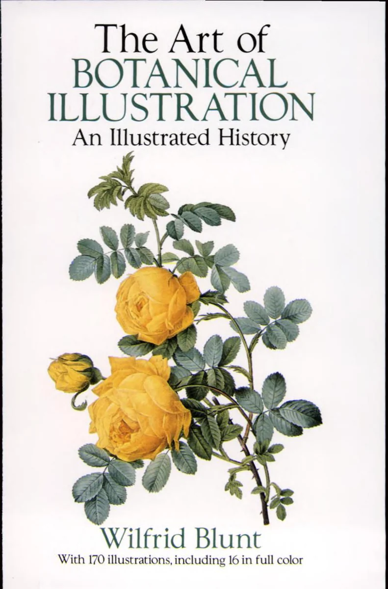 The Art of Botanical Illustration